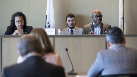 Asm. Gipson speaking to witness panel